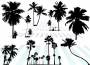Palms
