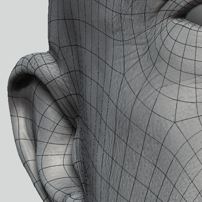 John Head (Low Res)