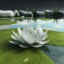 pond lily 3d model