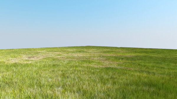 villa grass tutorial