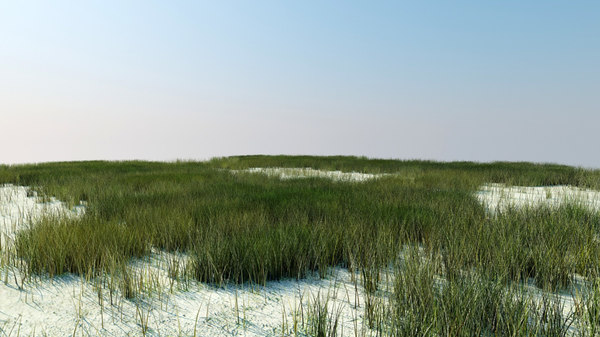 villa grass tutorial