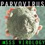 SSS Canine Parvovirus HD (2)