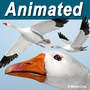 flying goose 3d model