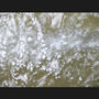 falling water (02)