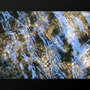 water waves
