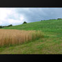 nature - country field