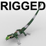 Lizard - Rigged