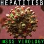 SSS Hepatitis B Virus HD