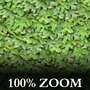 Hedge