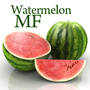 Watermelon.MF