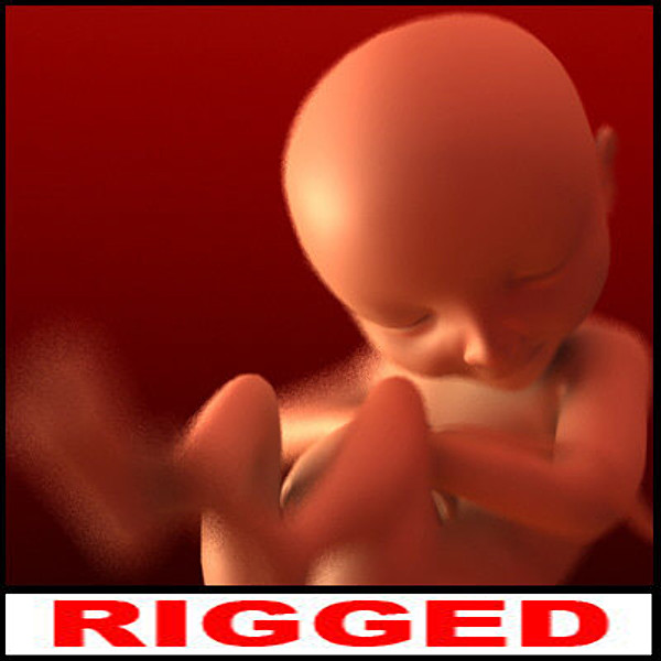 lightwave fetus rigged lightwave - Fetus - Lightwave and Softimage XSI rigged anatomical model by SpinQuad1976