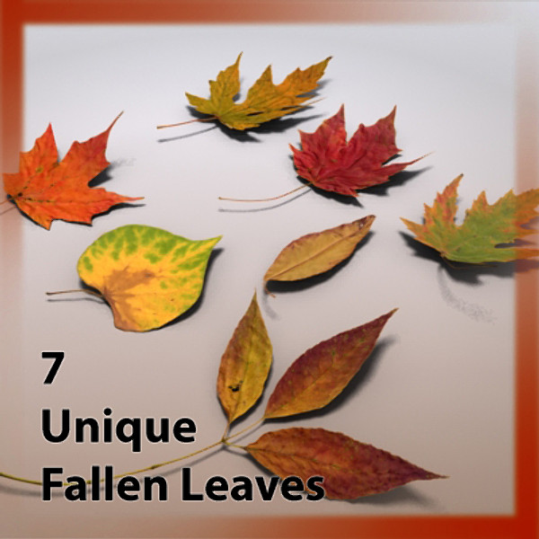 3d fallen autumn leaves leaf model - Autumn Leaf Fallen Fall Leaves by Braden Lehman