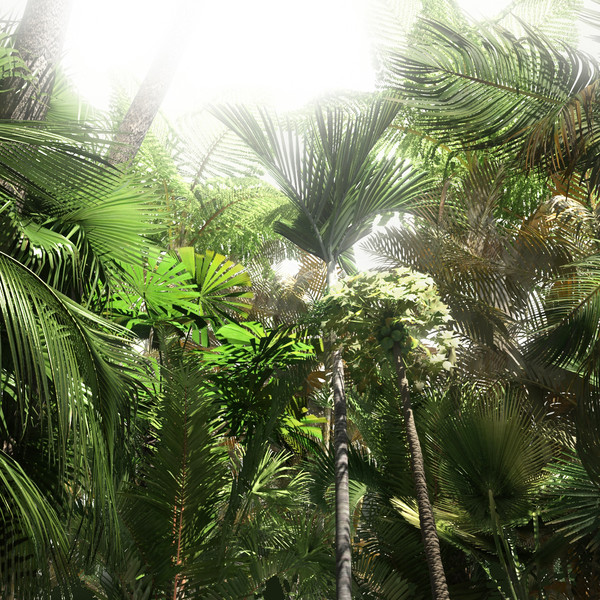 archmodels 85 trees 3d model - Archmodels vol. 85 by evermotion