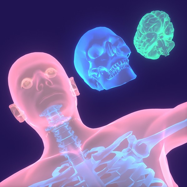 human body male 3d model - Human Body (Male)... by PROTOCG