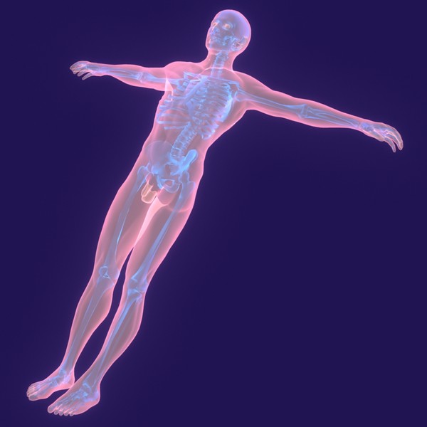human body male 3d model - Human Body (Male)... by PROTOCG