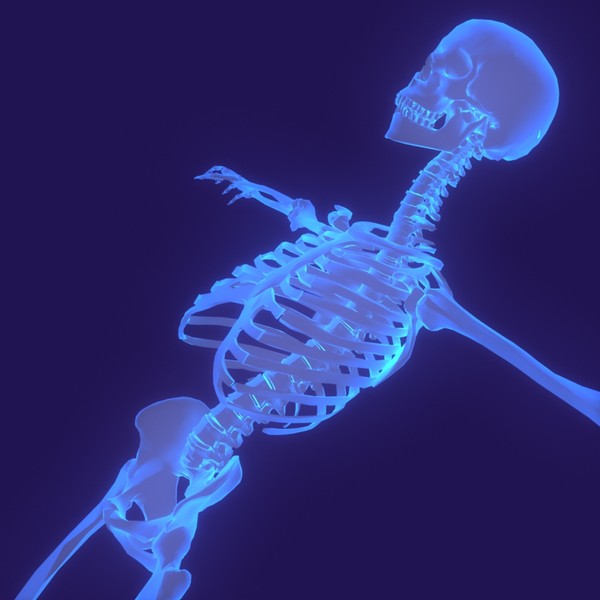 human body male 3d model - Human Body (Male)... by PROTOCG