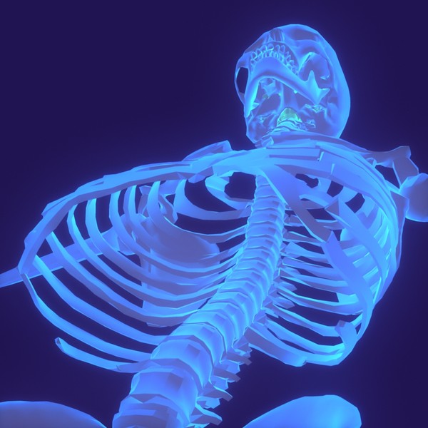 human body male 3d model - Human Body (Male)... by PROTOCG