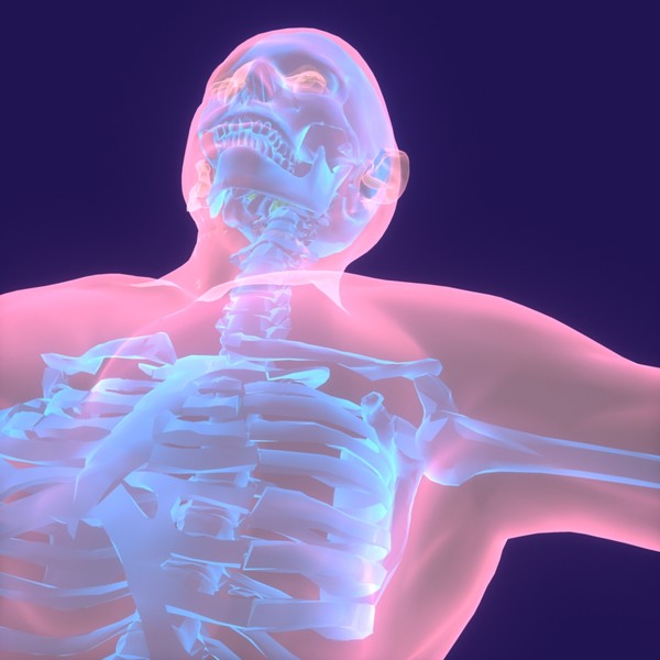 human body male 3d model - Human Body (Male)... by PROTOCG