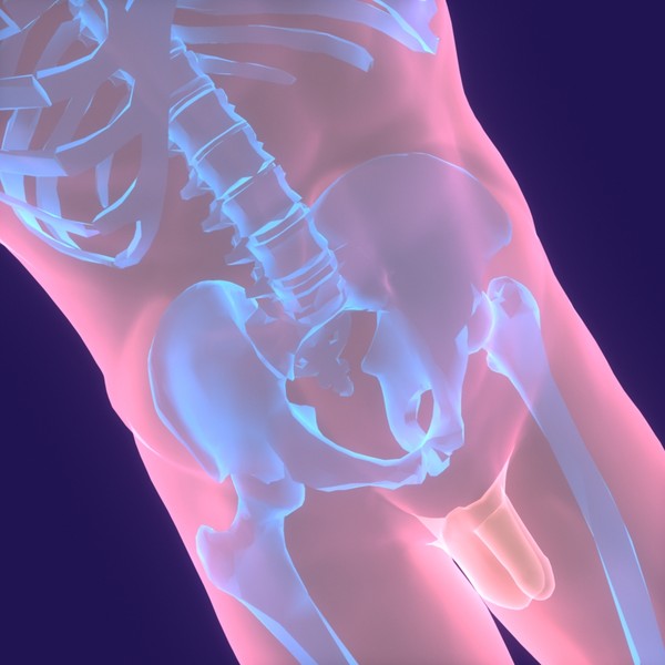 human body male 3d model - Human Body (Male)... by PROTOCG