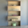 Bookcase_Serpa