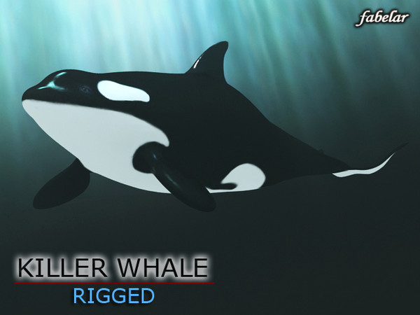 3d killer whale rigged - Killer Whale rigged by fabelar