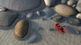 Fishing 1