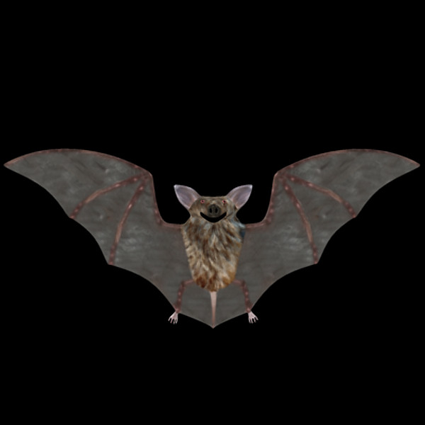 maya bat - Bat Model by therealjz
