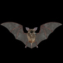maya bat