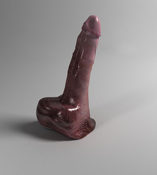 3dsmax penis dildo - Penis by BARAKA