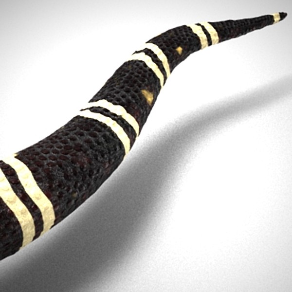 3d gila lizard beaded - BeadedLizard_3DS.zip by Short Bus