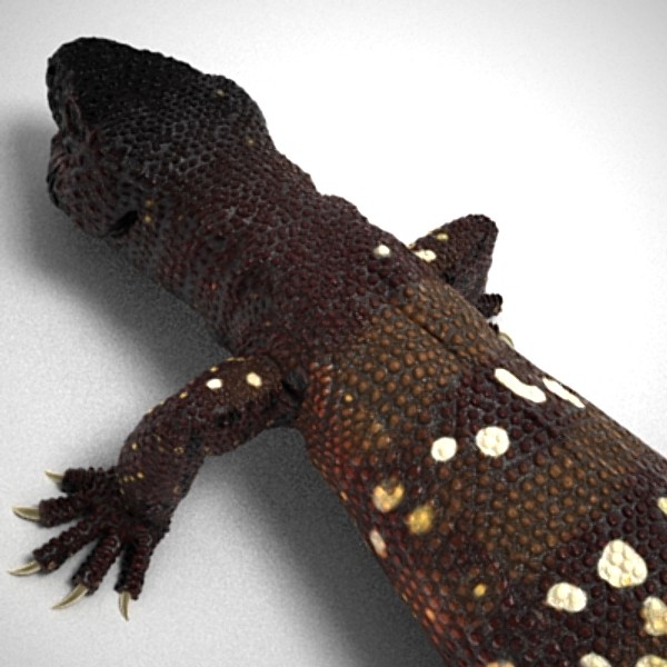 3d gila lizard beaded - BeadedLizard_3DS.zip by Short Bus