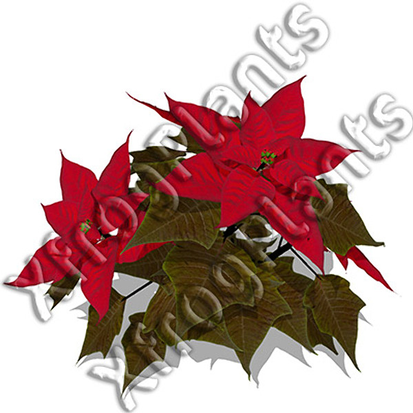 3d model flowers 2 dvd popular - XfrogPlants Mixed Popular Flowers 2 DVD by xfrog