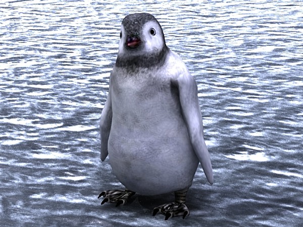 3d emperor penguin chick - Emperor Penguin Chick 2 by fabelar