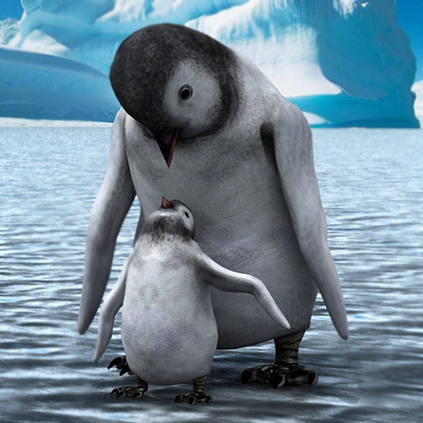 3d emperor penguin chick - Emperor Penguin Chick 2 by fabelar