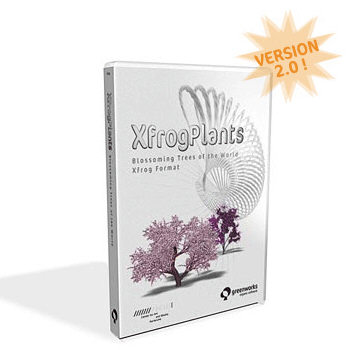 3d model xfrogplants blossoming kousa dogwood tree - XfrogPlants Blossoming Kousa Dogwood by xfrog