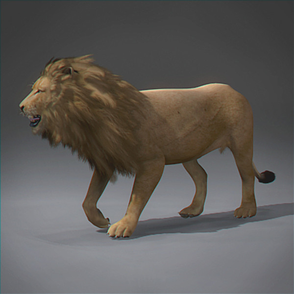 Lion