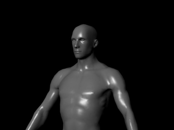 3d human male ztl format - Human Male Ztl format by fishzombie