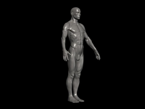 3d human male ztl format - Human Male Ztl format by fishzombie