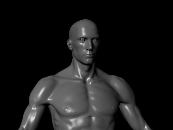 3d human male ztl format - Human Male Ztl format by fishzombie