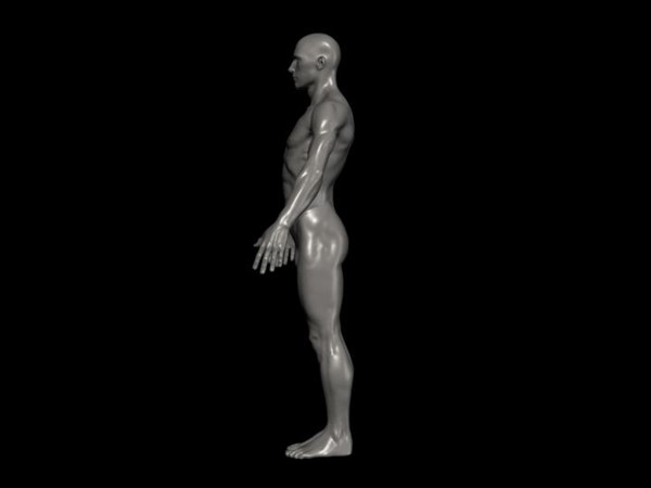3d human male ztl format - Human Male Ztl format by fishzombie