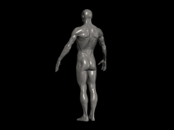 3d human male ztl format - Human Male Ztl format by fishzombie