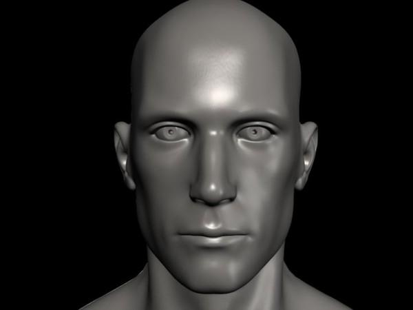 3d human male ztl format - Human Male Ztl format by fishzombie