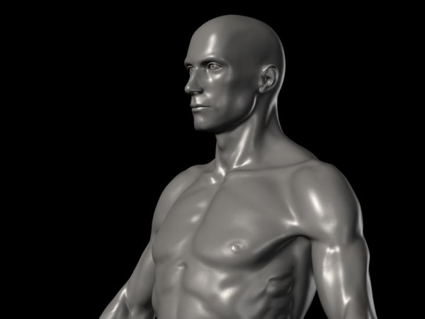 3d human male ztl format - Human Male Ztl format by fishzombie
