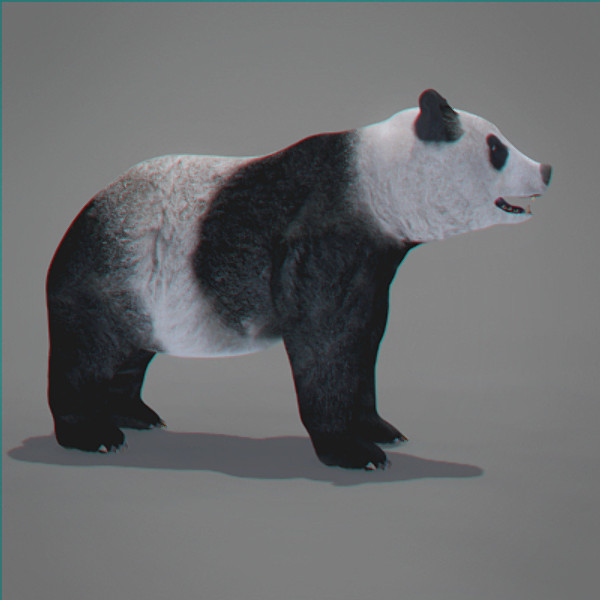 3d model panda bear - Panda Bear by NONECG