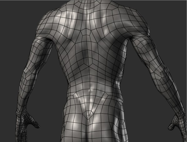 3d human male ztl format - Human Male Ztl format by fishzombie
