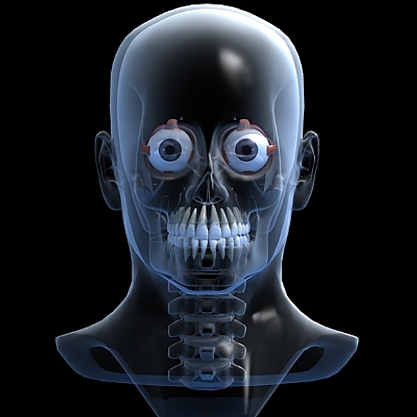 Eye and skull.zip