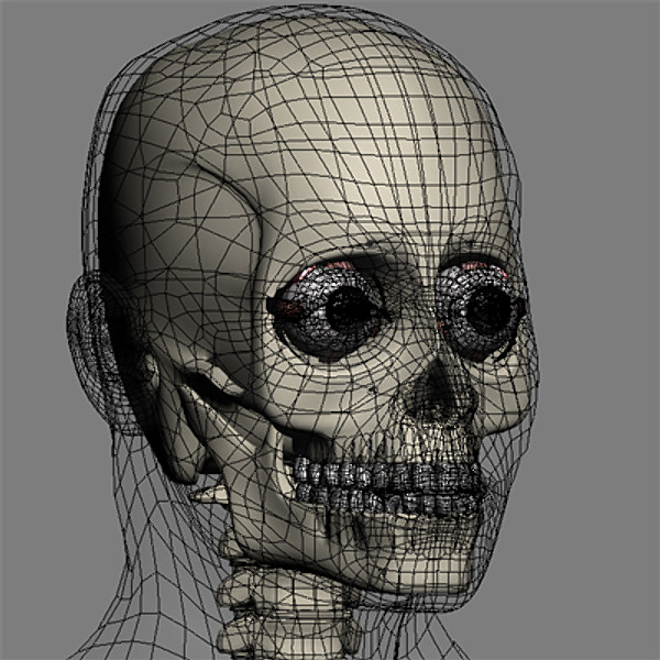 Eye and skull.zip