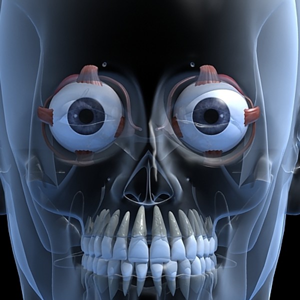 Eye and skull.zip