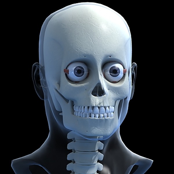 Eye and skull.zip
