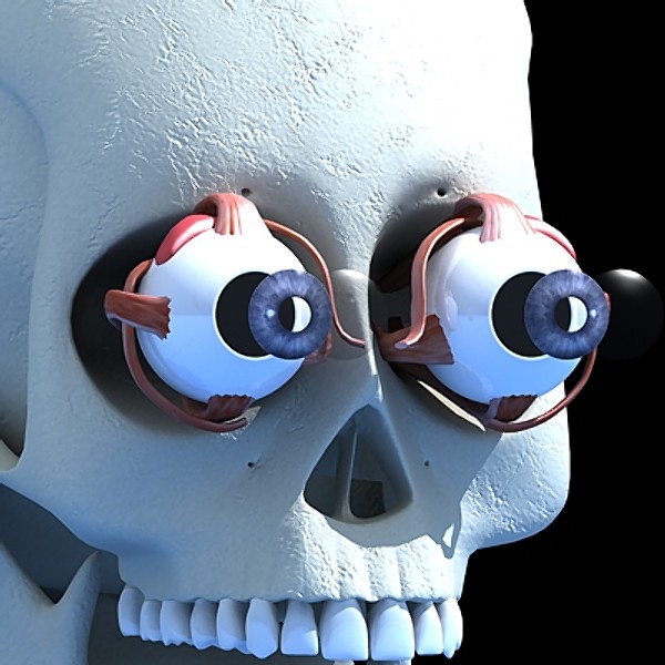 Eye and skull.zip